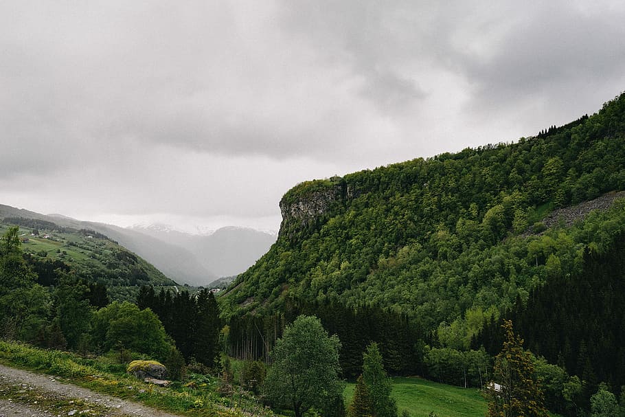 green, trees, hill, mountain, cloudy, sky, black, clouds, gray, landscapes