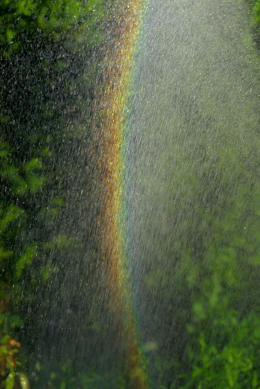 rainbow, water, spray, water splashes, garden, green, colorful, nature, mood, landscape