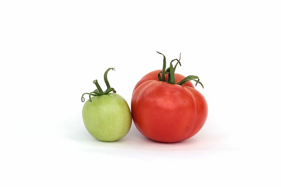 vermelho, verde, tomate, branco, superfície, verão, colheita, legumes, nutrição, verduras