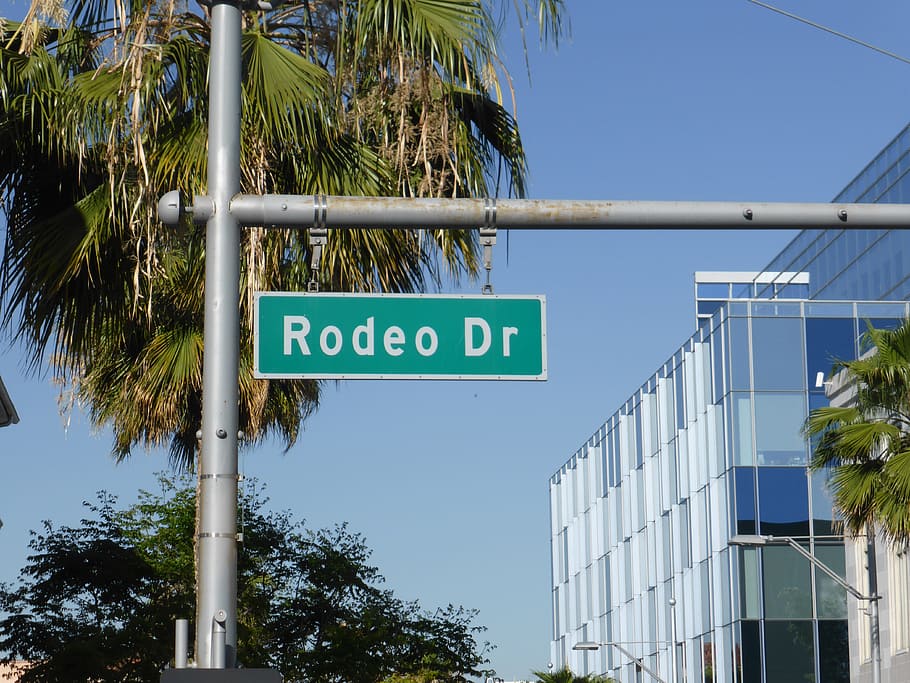 rodeo dr signage jalan, drive rodeo, tanda jalan, beverly, bukit, mode, los, angeles, pohon, tanda
