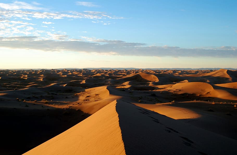fotografia de deserto, marrocos, áfrica, deserto, marroc, areia, pacata, paisagem, natureza, dunas
