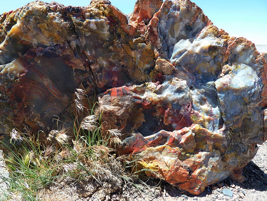 blue, brown, rock, daytime, petrified, forest, national, park, colorful, petrified wood