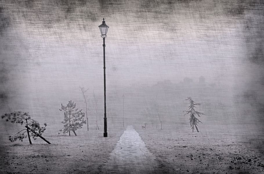 lamp post, pathway grayscale painting, park, path, walkway, way, lamp, old, architecture, black