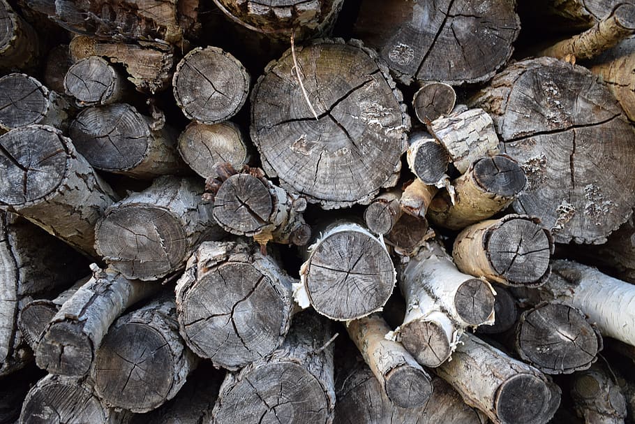 logs, wood, timber, wooden, cut, lumber, pile, stack, logging, firewood