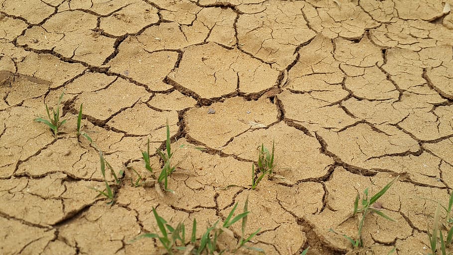 干ばつ, 砂利, 地面, 汚れ, 乾燥, 環境, ひび割れ, 乾燥した気候, 土地, 泥
