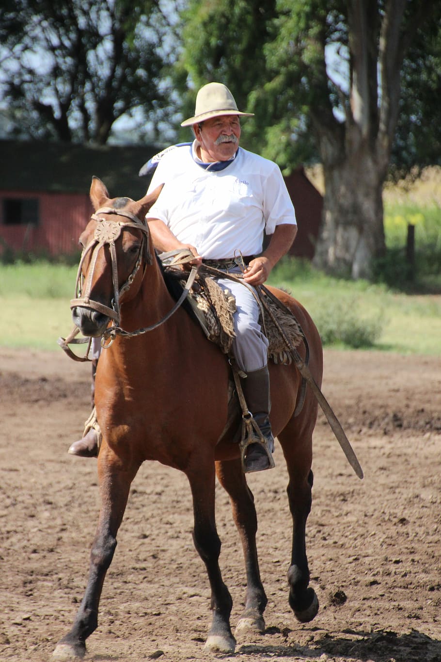 Cavalo, cavaleiro, argentina, gaúcho, passeios a cavalo, oeste selvagem, montando, rancho, adulto, doméstico