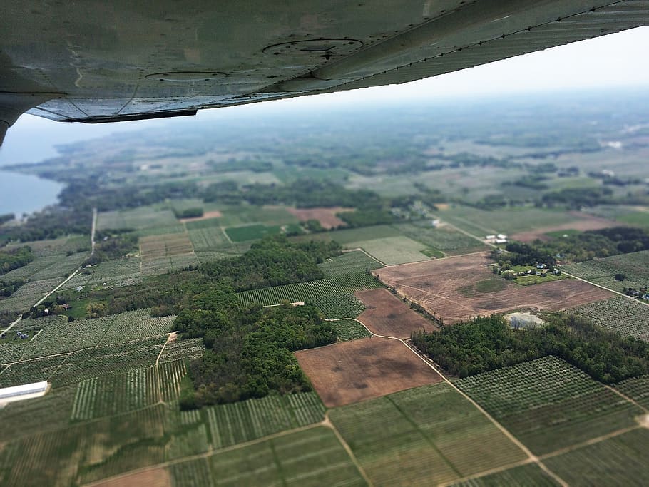 nature, airplane, plane, aerial, trees, field, green, grass, lot, landscape