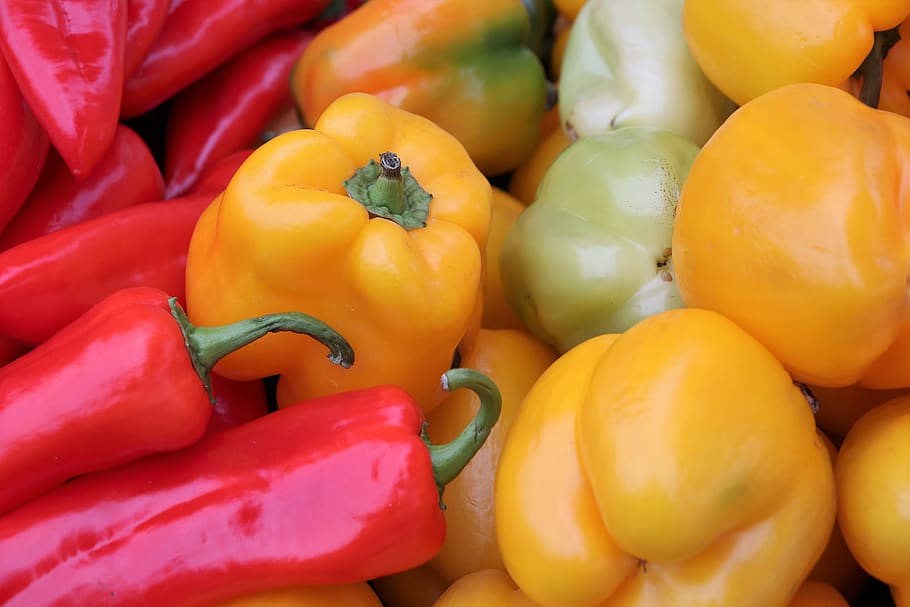 red, yellow and green paprika, vegetable, food, healthy, vitamins, fresh, vegetarian, pepper, bell pepper