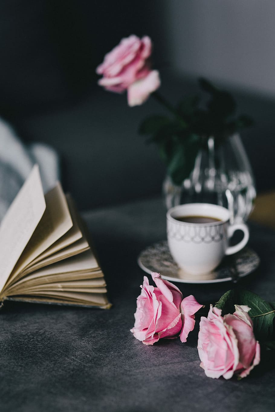 encantador, rosas, libro, café, rosa, interior, descanso, relajarse, esencial, lectura