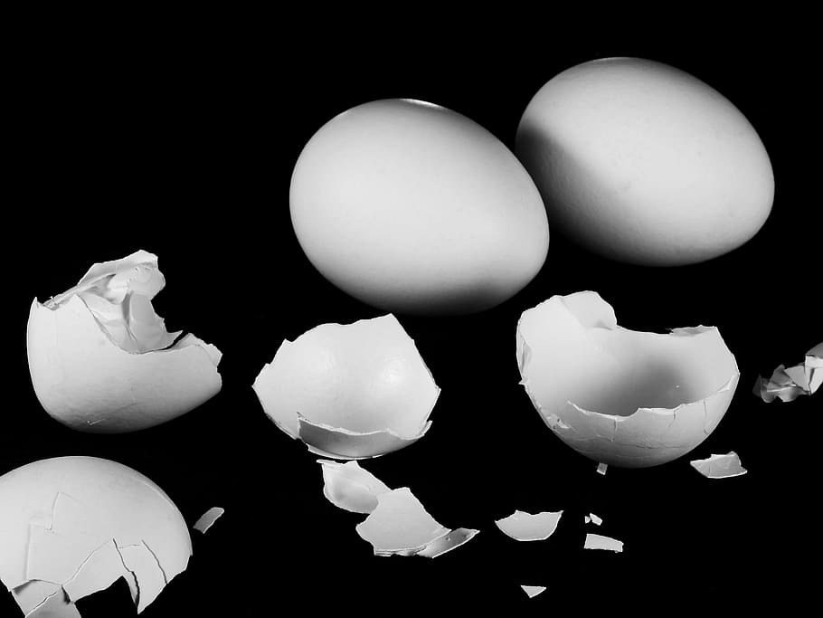two, white, chicken eggs, cracked, egg shell, egg, hen's egg, eggshell, nutrition, food