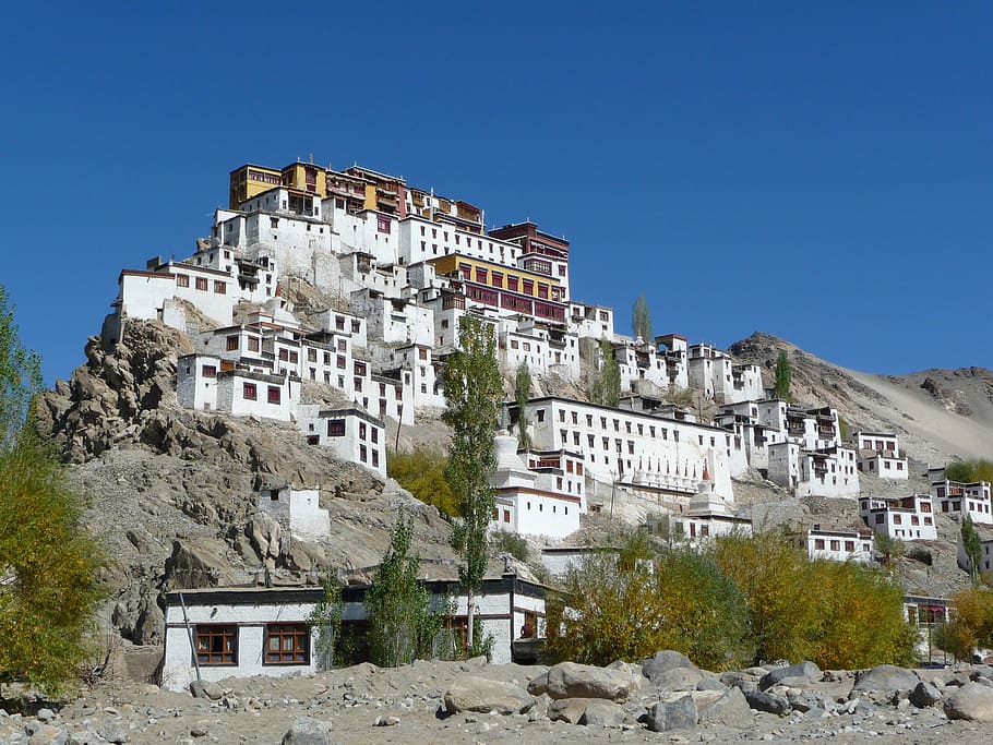 Monastery, Mountaintop, Ladakh, India, photos, mountain, public domain, temple, tibet, ladakh Region
