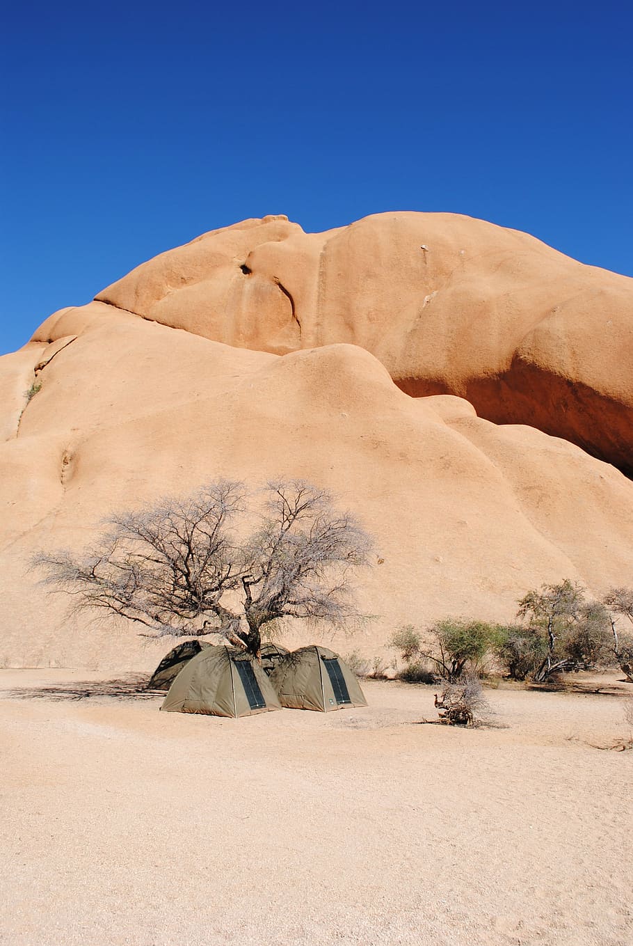 spitzkoppe, camping, namibia, africa, mountains, wildlife, wilderness, outdoor, adventure, sky