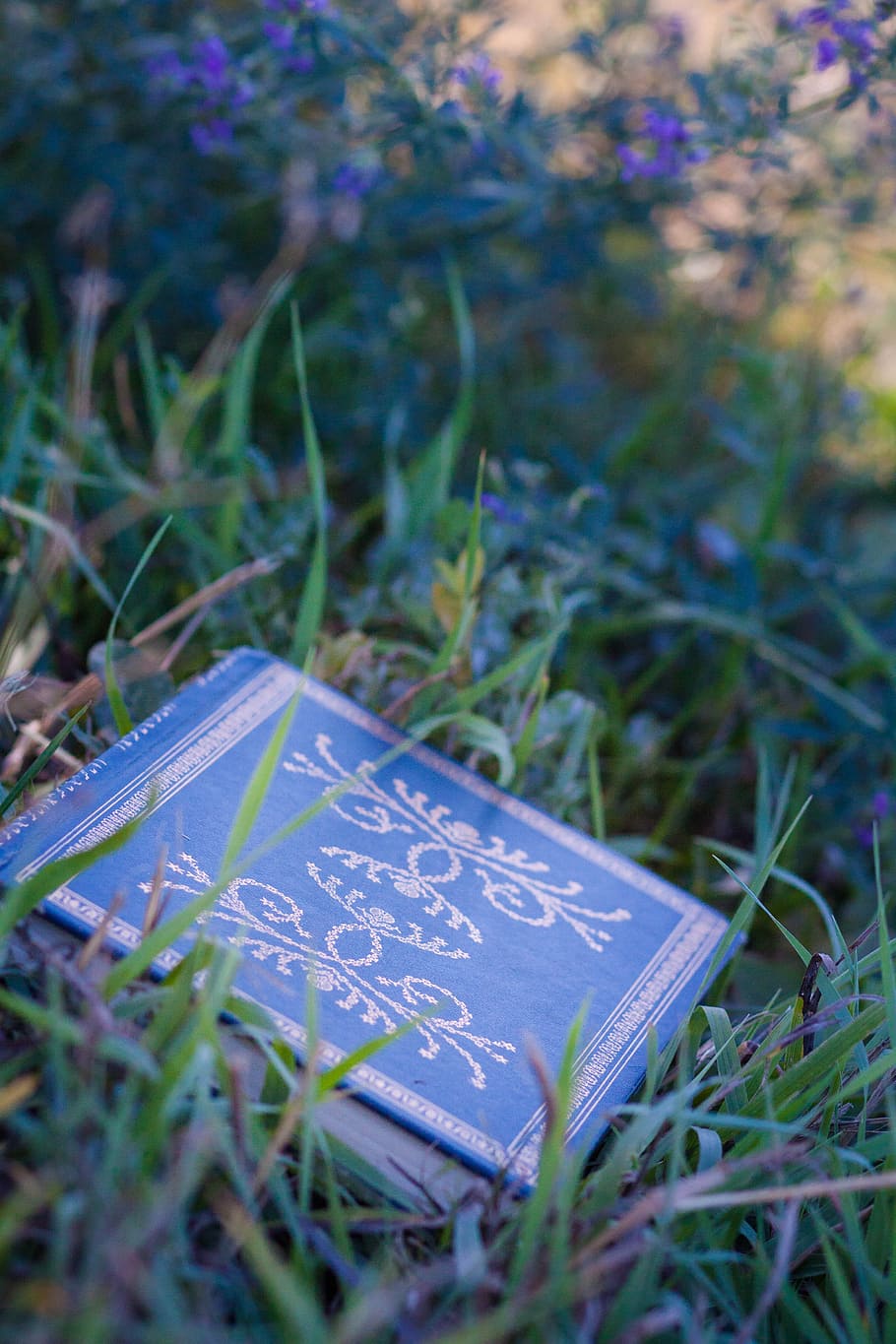 Grass, Green, Reading Book, Summer, book, grass, green, spring, reading, leisure, read