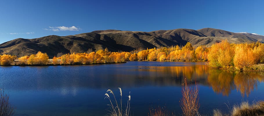 autumn, foliage, landscape, trees, water, lake, mountains, nature, outdoors, sky