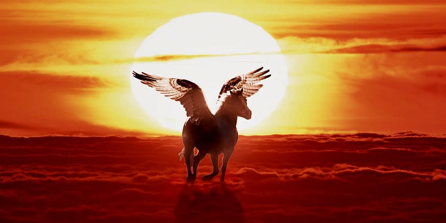 pegaso, volador, puesta de sol, caballo con alas, mito, fondo, naturaleza, cielo, luz, sol