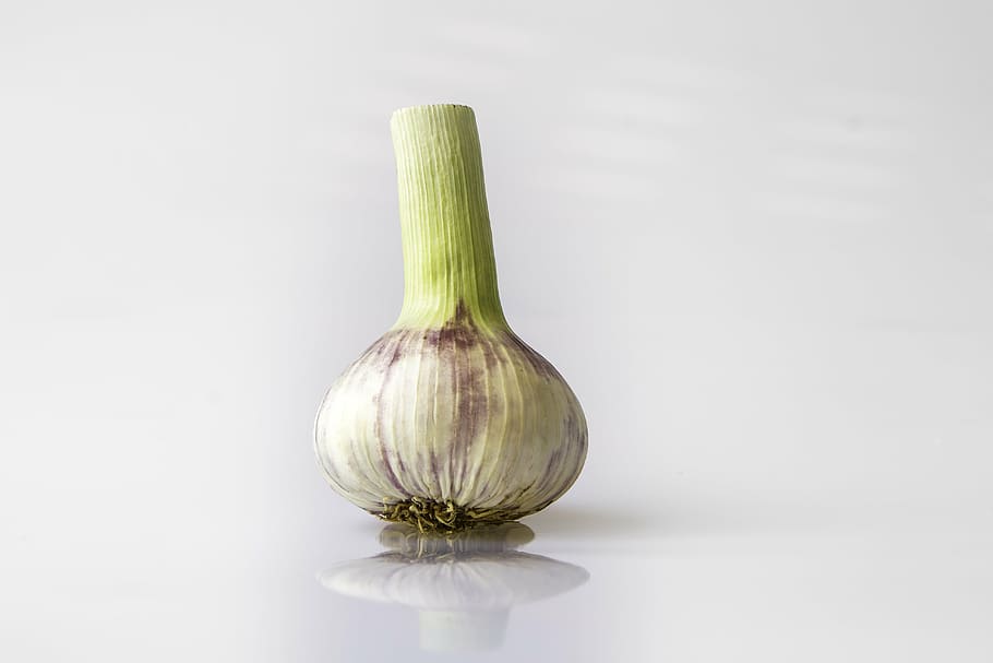 garlic, head of garlic, violet, condiment, allium sativum, garden plant, kitchen, food, vegetable, spice