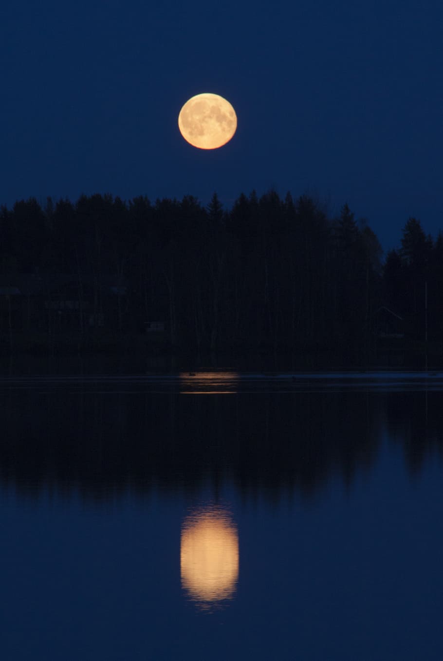 yellow full moon, moon, moonrise, evening, dark, reflection, sky, tranquility, scenics - nature, beauty in nature