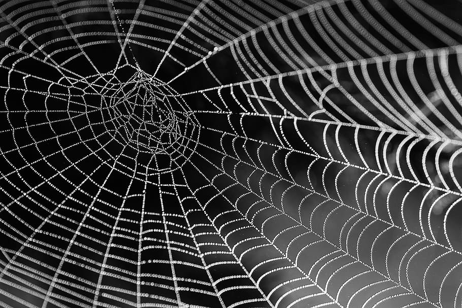 거미줄 근접 촬영 사진, 물 구슬, 네트워크, 이슬 방울과 거미줄, 풀 프레임, 배경, 무늬, 아니 사람, 클로즈업, 스파이더 웹