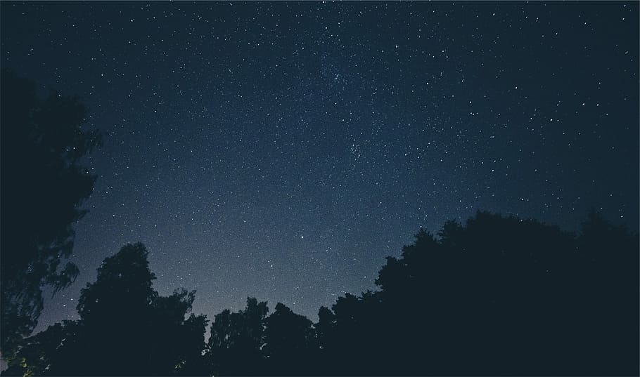 árvores, céu noturno, preto, azul, cinza, noite, estrelas, estrela - espaço, astronomia, Via Láctea