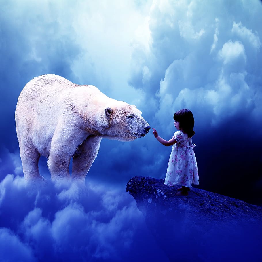 girl, front, polar, bear, fantasy, clouds, blue sky, sky, adventure, animal
