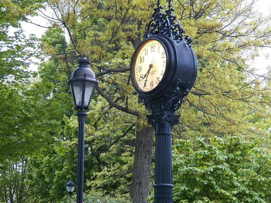 黒, 金属アナログ台座時計, 木, 時計, 時間, 秒, 分, ランプ, 街灯, 風景