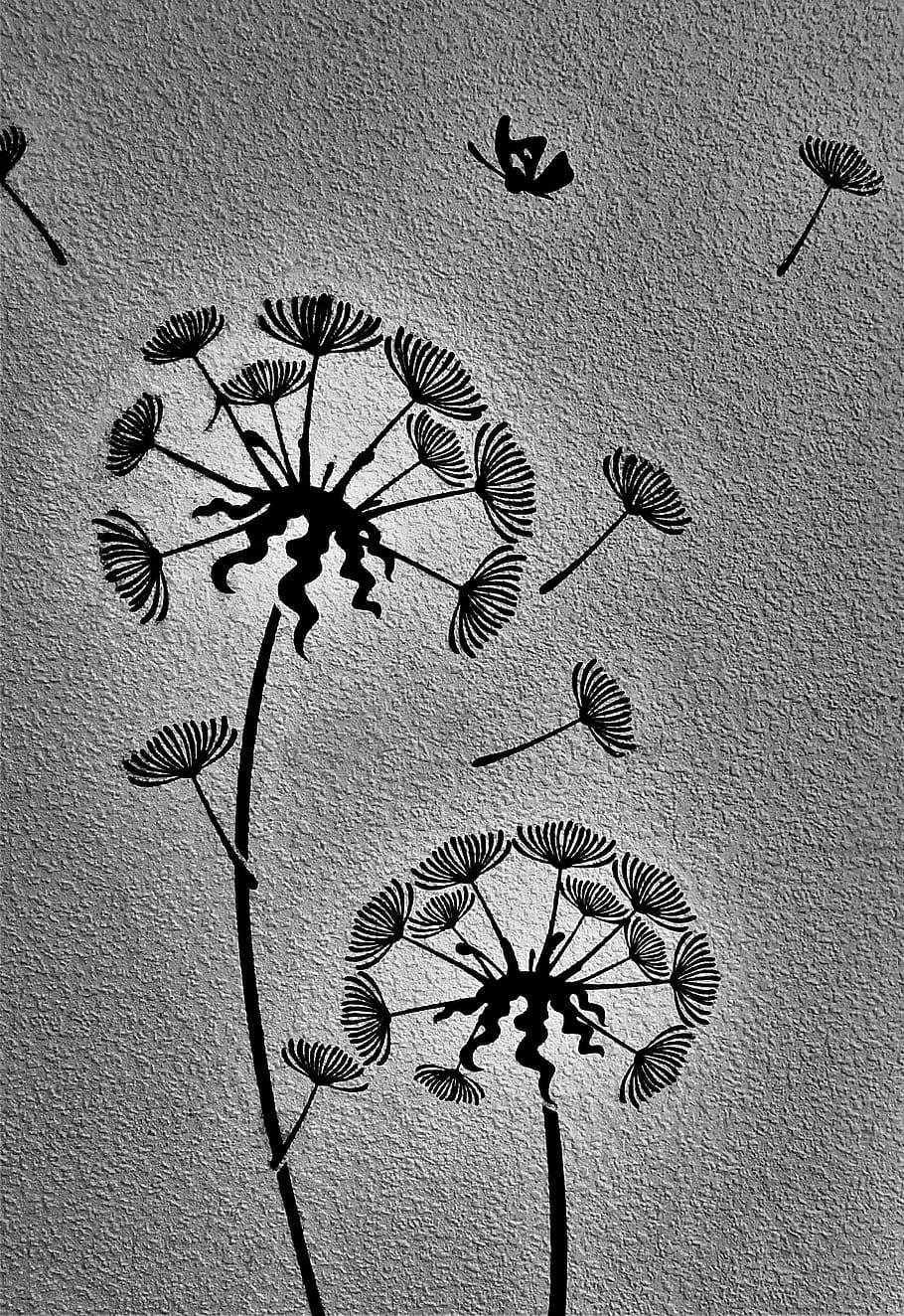 2-dandelion illustration, background, s w, flora, abstract, wall - building feature, art and craft, plant, creativity, representation