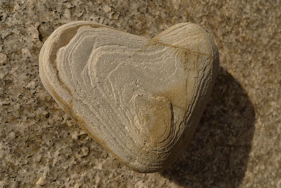batu, hati, bentuk hati, alam, hati batu, close-up, tidak ada orang, fosil, bertekstur, hewan