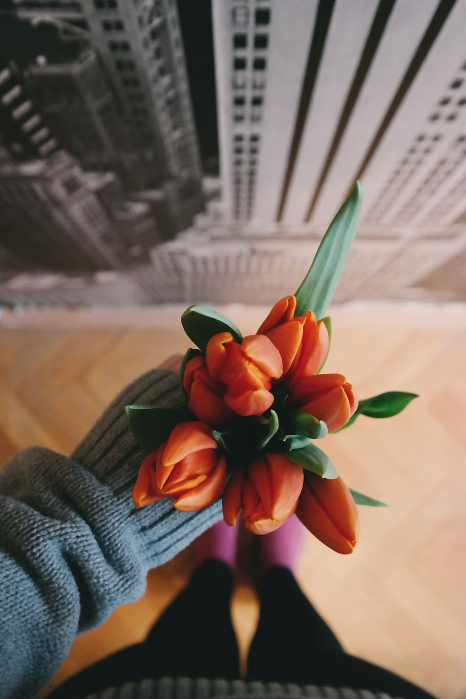 orange, flower, petal, tulip, hand, jacket, blur, human hand, holding, one person