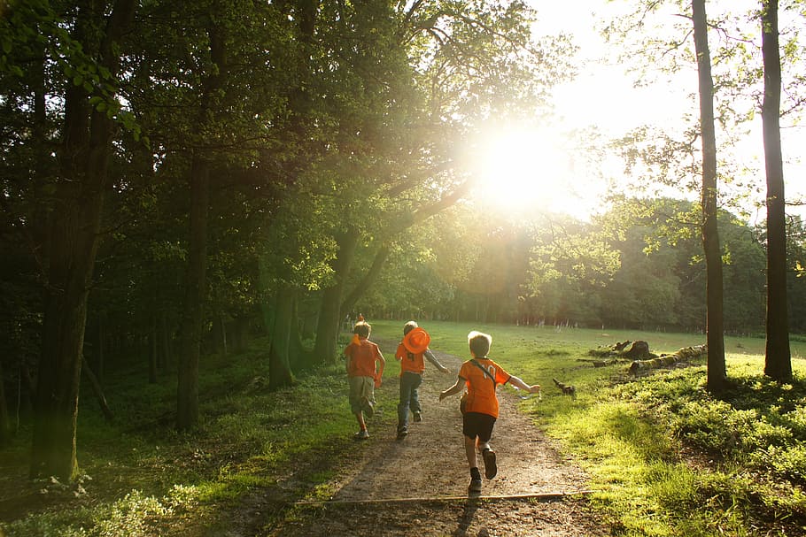 three, children, running, forest trail, year, people, relax, family, balance, postbank