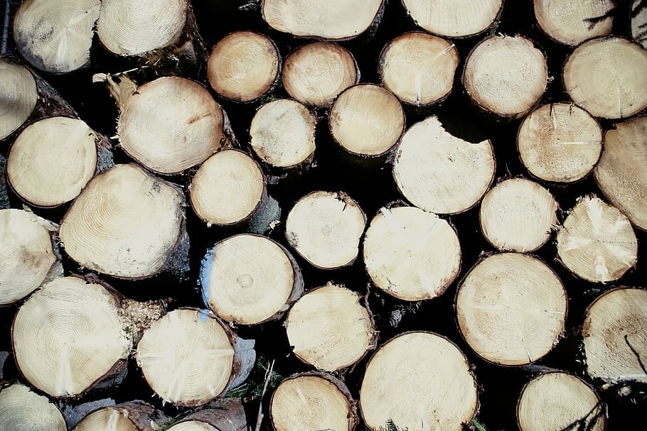 brown, wooden, tree trunk, wood, spar, cut down, tree, log, energy, commodity