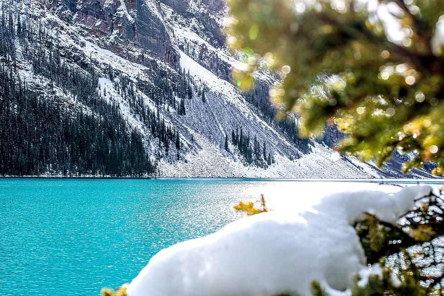 foto, montaña, cubierto, nieve, lago, louise, canadá, banff, paisaje, alberta