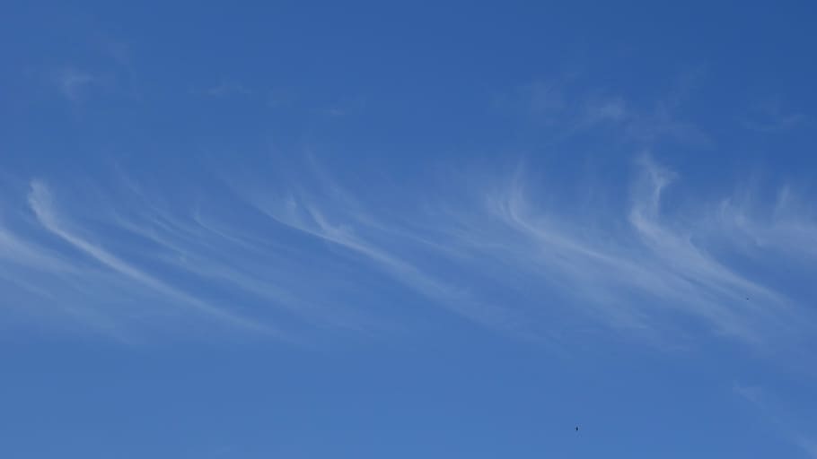 cirrus, clouds, filaments, weather, sky, background, blue, cloud - sky, low angle view, beauty in nature