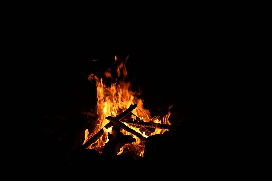 燃やされた薪, 森, 燃えている, 暗い, 火, 炎, 木, 光, 熱い, キャンプ