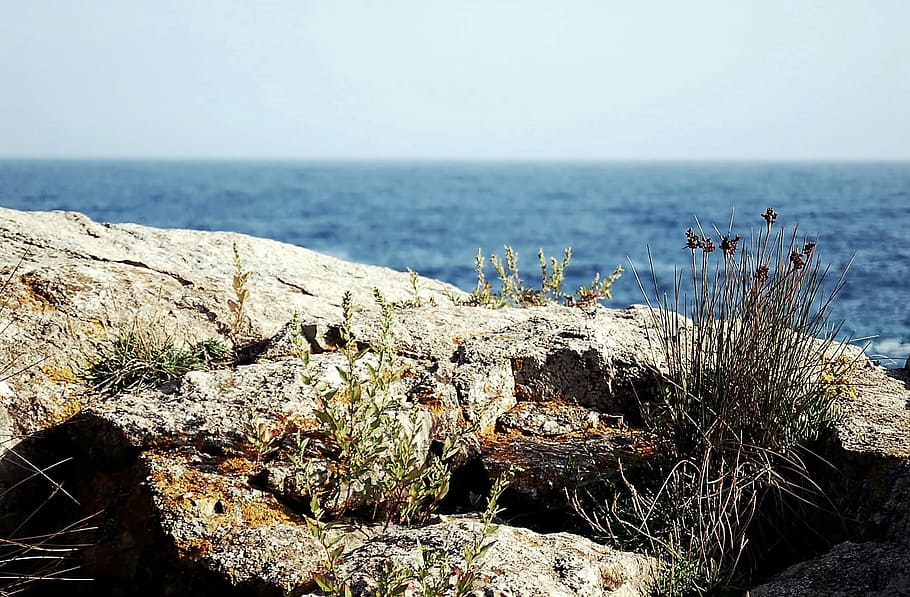 Mar Mediterrâneo, natureza, mar, paisagem, azul, casa, costa, verão, árvores, costa brava