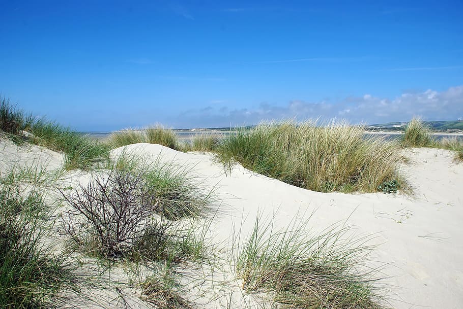 France, Pas De Calais, the touquet, estuary, dunes, oyats, foreshore, panorama, walk, beach
