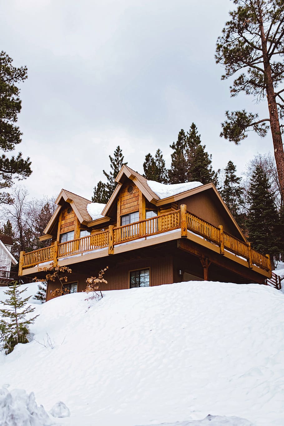 cabana, casa, chalé, paisagem, inverno, neve, monte de neve, natureza, ao ar livre, árvores