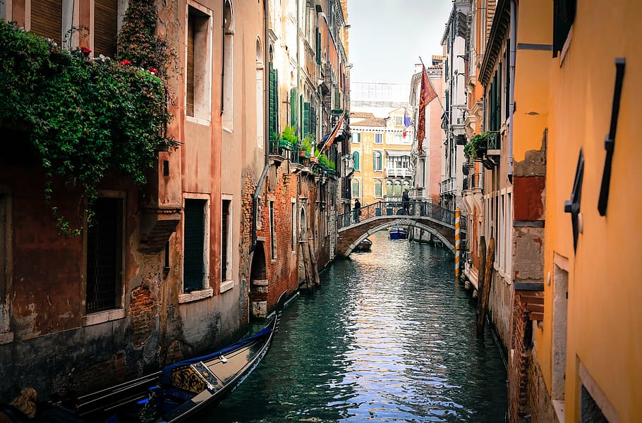 grand canal, venice, venice, italy, gondolas, channel, venice - Italy, canal, gondola, architecture, europe