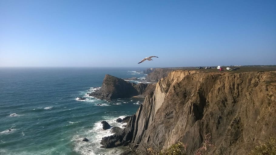 Seagull, Slope, Aljezur, cliff, sea, horizon over water, nature, beach, clear sky, outdoors