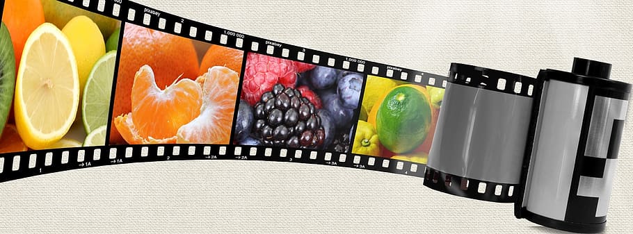 photo time line, negative, film, photo film, photo strip, food, fish, close-up, seafood, healthy eating