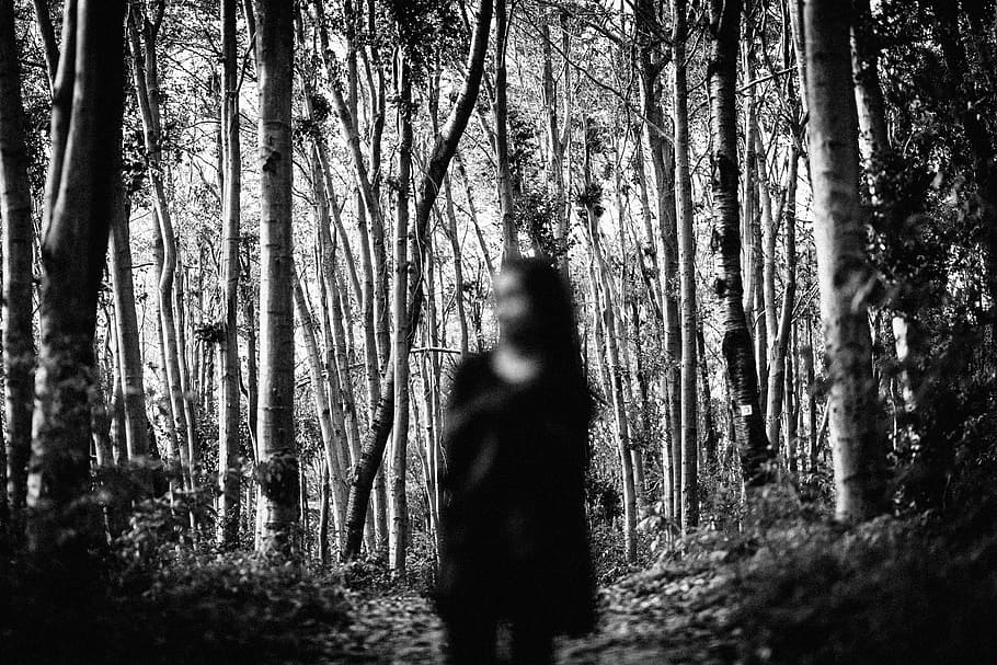 person, wearing, dress, standing, trees grayscale photo, forest, darkness, dark forest, portrait, spooky
