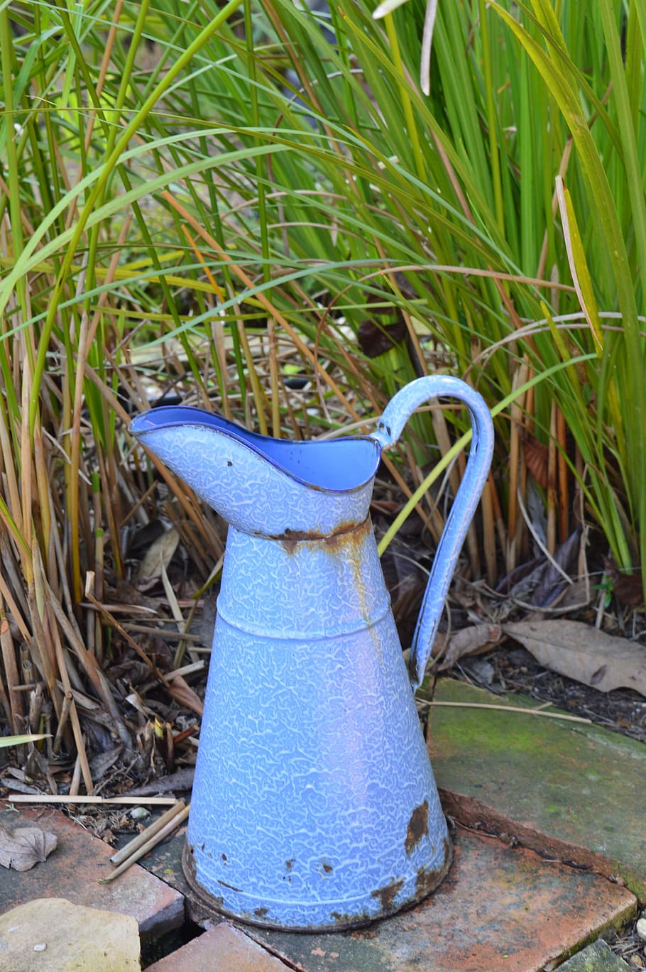 Nature, Pot, Watering Can, Flower, Pots, flower pots, garden, blue, outdoors, cultures