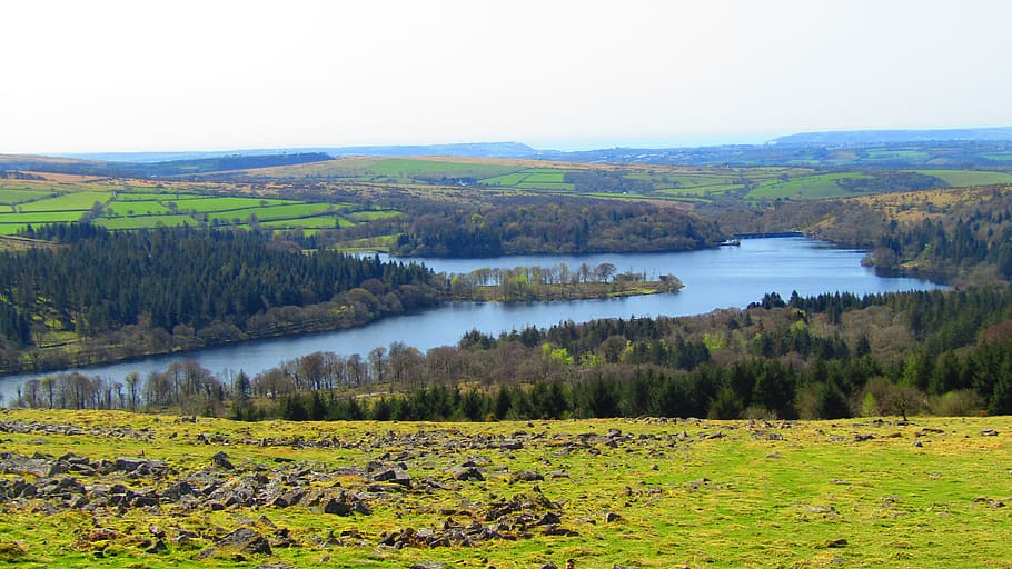 Burrator Reservoir, April, grass, field, moutnain, scenery, beauty in nature, scenics - nature, plant, tranquil scene
