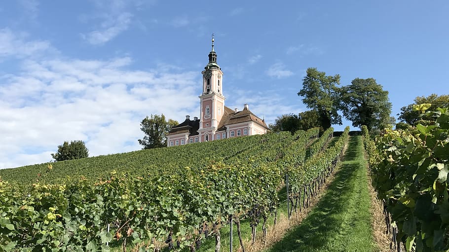 church, monastery, pilgr, cloister, nature, wines, grapes, sky, germany, lake of constance
