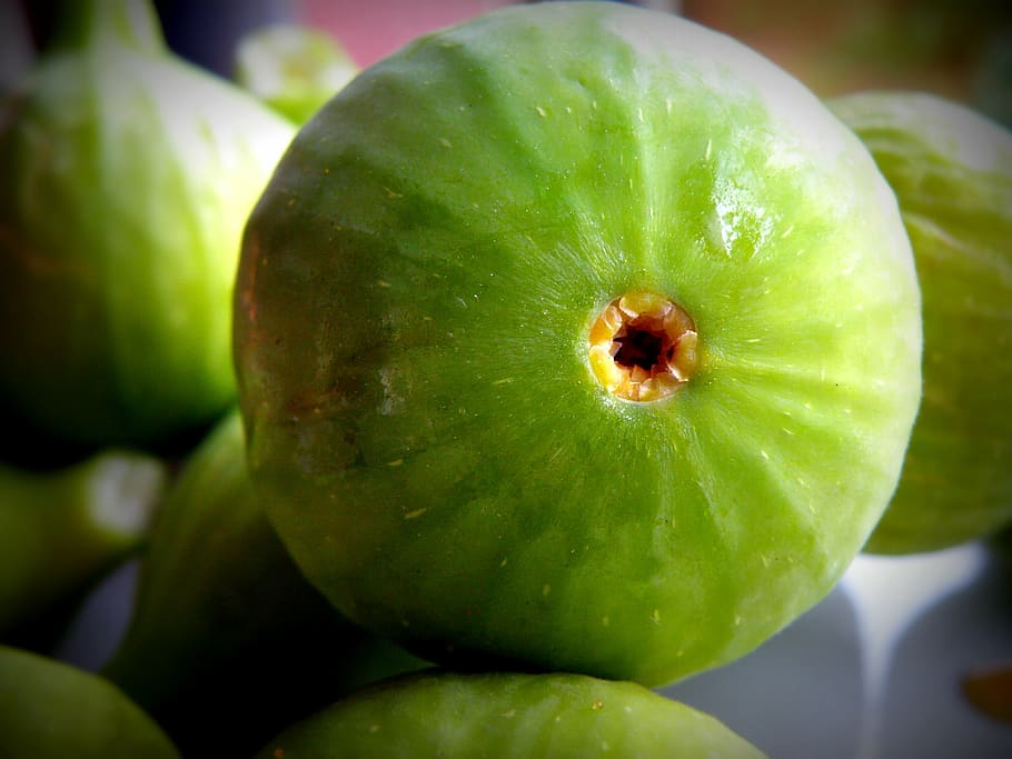 fig, summer, fruit, food, fresh, natural, food and drink, healthy eating, green color, close-up