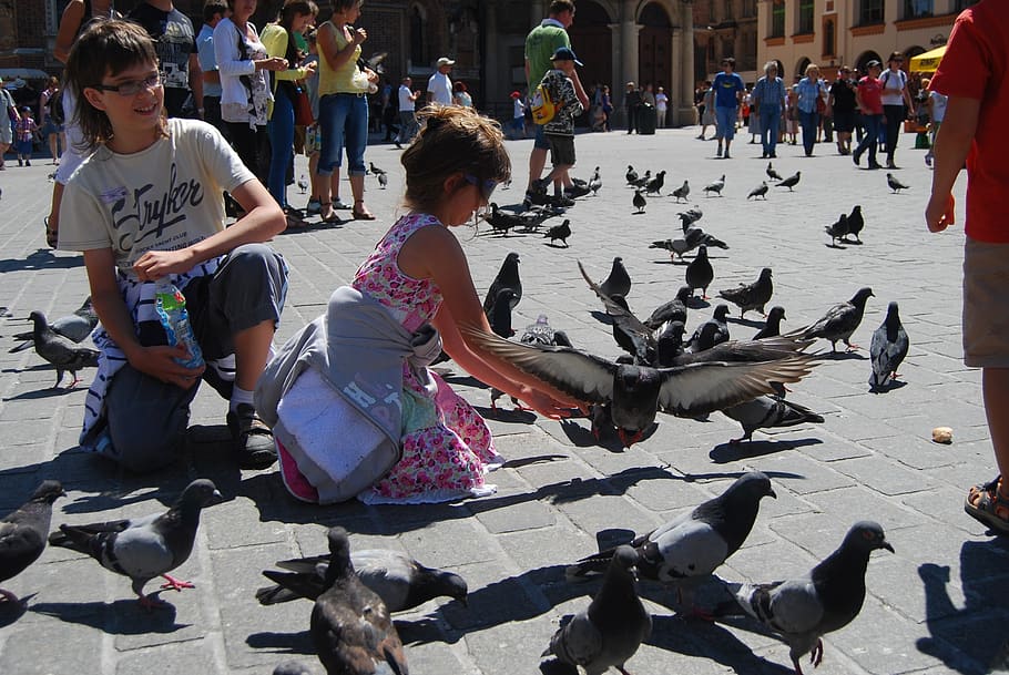 kraków, the market, the old town, pigeons, st mary's church, the little girl, real people, city, group of people, crowd