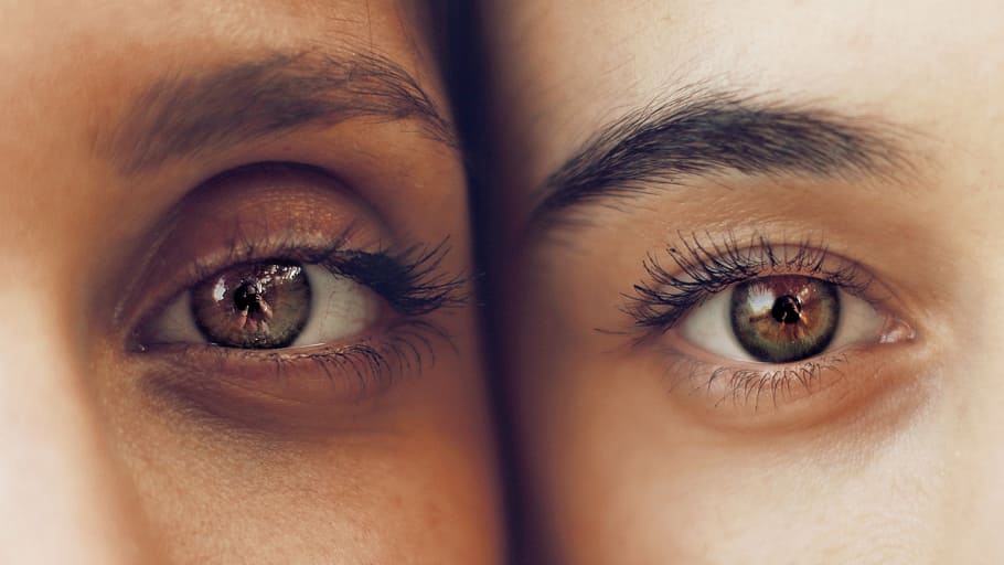 fotografia de close-up, dois, pessoa, mostrando, olhos, cílios, pálpebra, sobrancelhas, íris, globo ocular