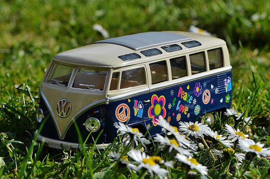 blue, white, volkswagen transporter scale model, petaled flowers, vw, bulli, meadow, peace, vw bus, volkswagen