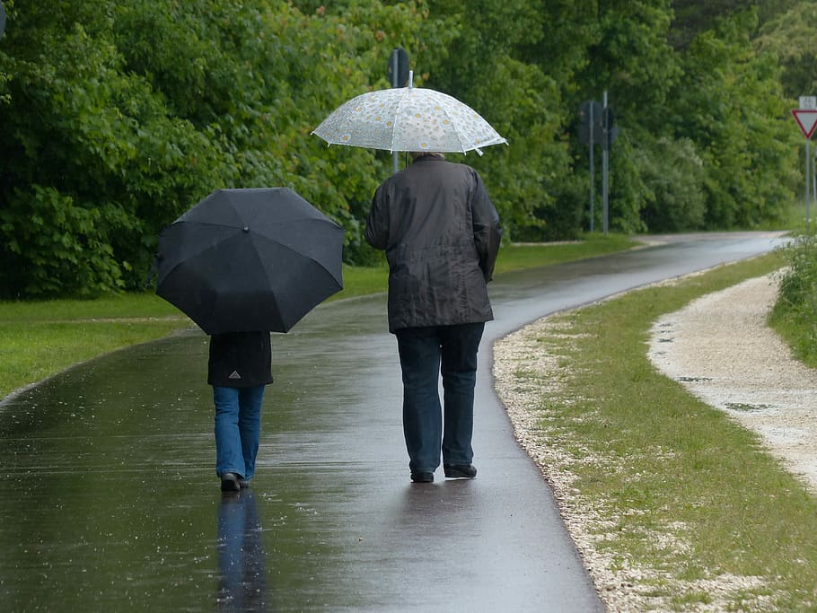 dos, persona, caminando, camino, tenencia, abierto, paraguas, lluvioso, día, día lluvioso