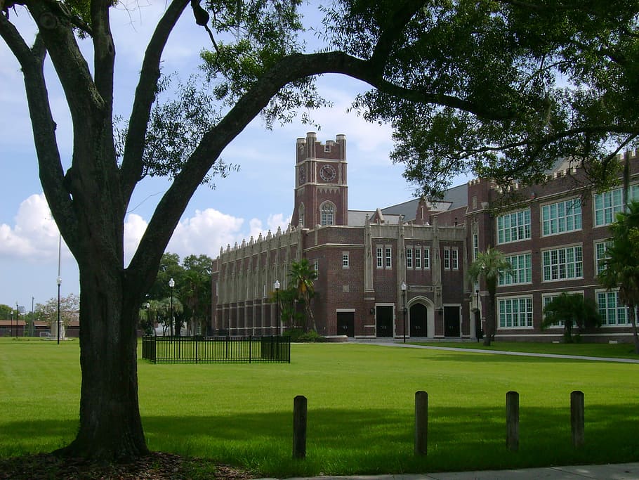 Hillsborough, High, escuela, Tampa, Florida, Hillsborough High School, educación, dominio público, árboles, arquitectura