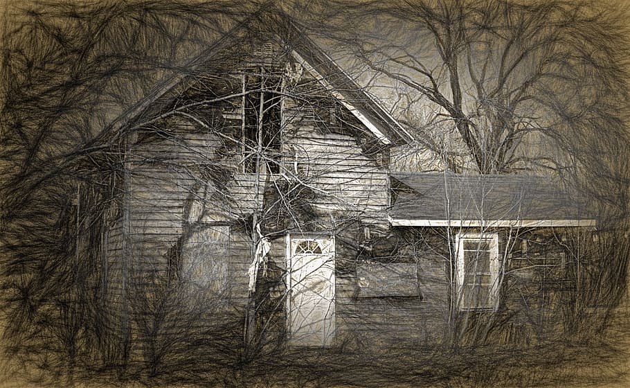 pintura de la casa marrón, casa, embrujada, casa embrujada, halloween, de miedo, escalofriante, noche, miedo, fantasma